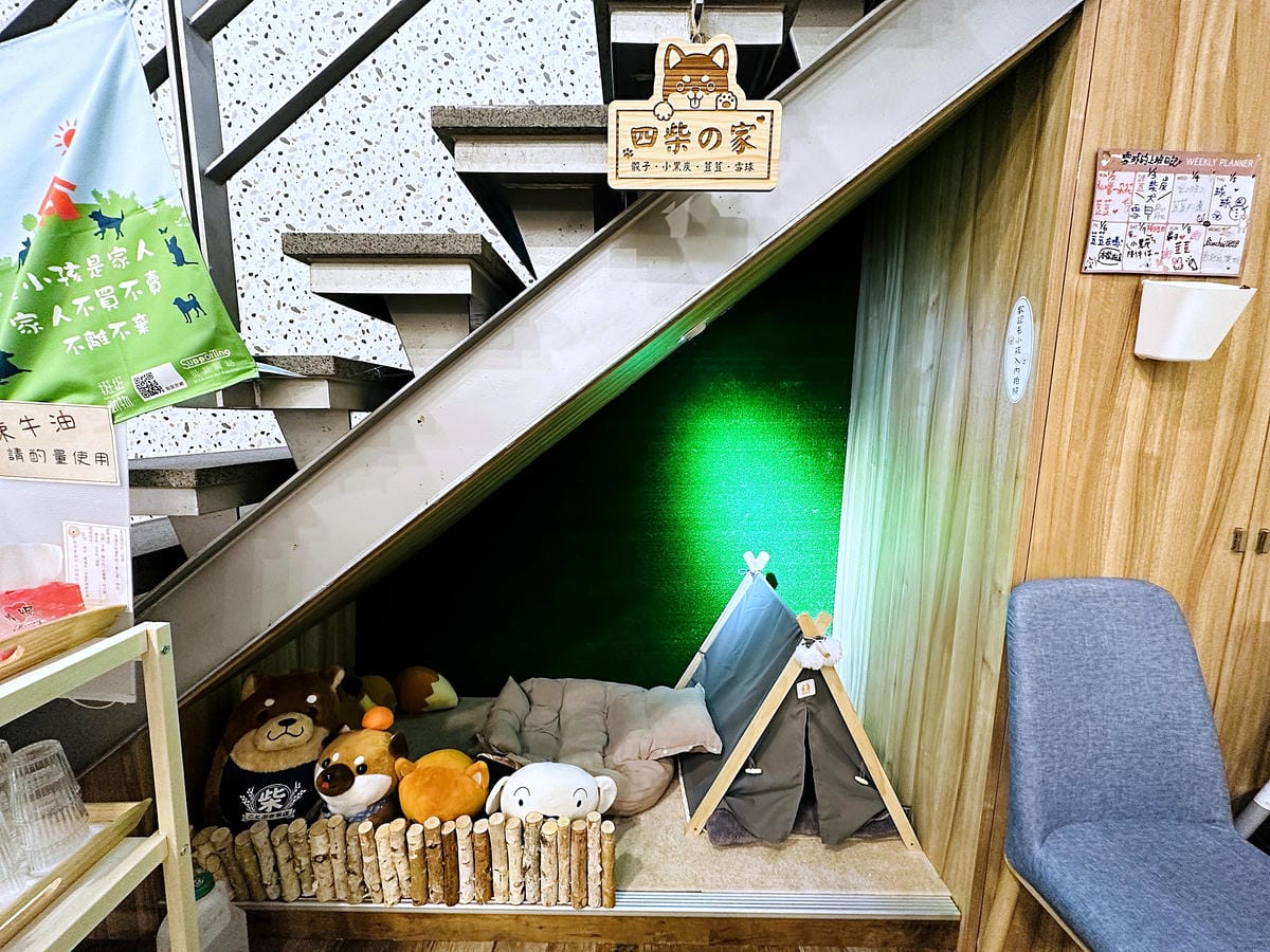 【私嚐の吃飯-北大店】超人氣咖喱手作飯北大特區餐廳推薦新北樹林寵物友善餐廳推薦!小咪咪吃高級寵物牛排餐