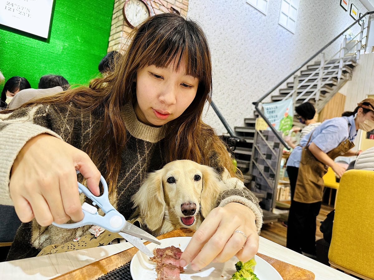 【私嚐の吃飯-北大店】超人氣咖喱手作飯北大特區餐廳推薦新北樹林寵物友善餐廳推薦!小咪咪吃高級寵物牛排餐