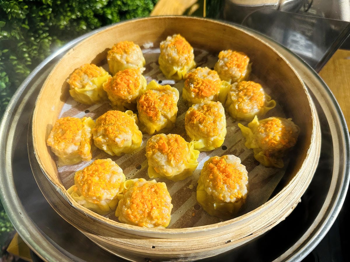 【趣兒Chill:藍鵲菲菲】台北陽明山豪華懶人露營免搭帳台北高級露營一泊三食「山林帳 森林共享衛浴」露營開箱!