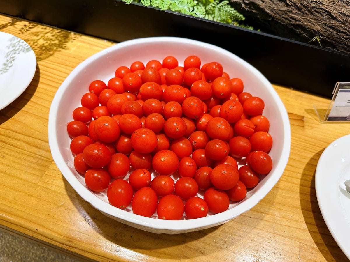 【趣兒Chill:藍鵲菲菲】台北陽明山豪華懶人露營免搭帳台北高級露營一泊三食「山林帳 森林共享衛浴」露營開箱!