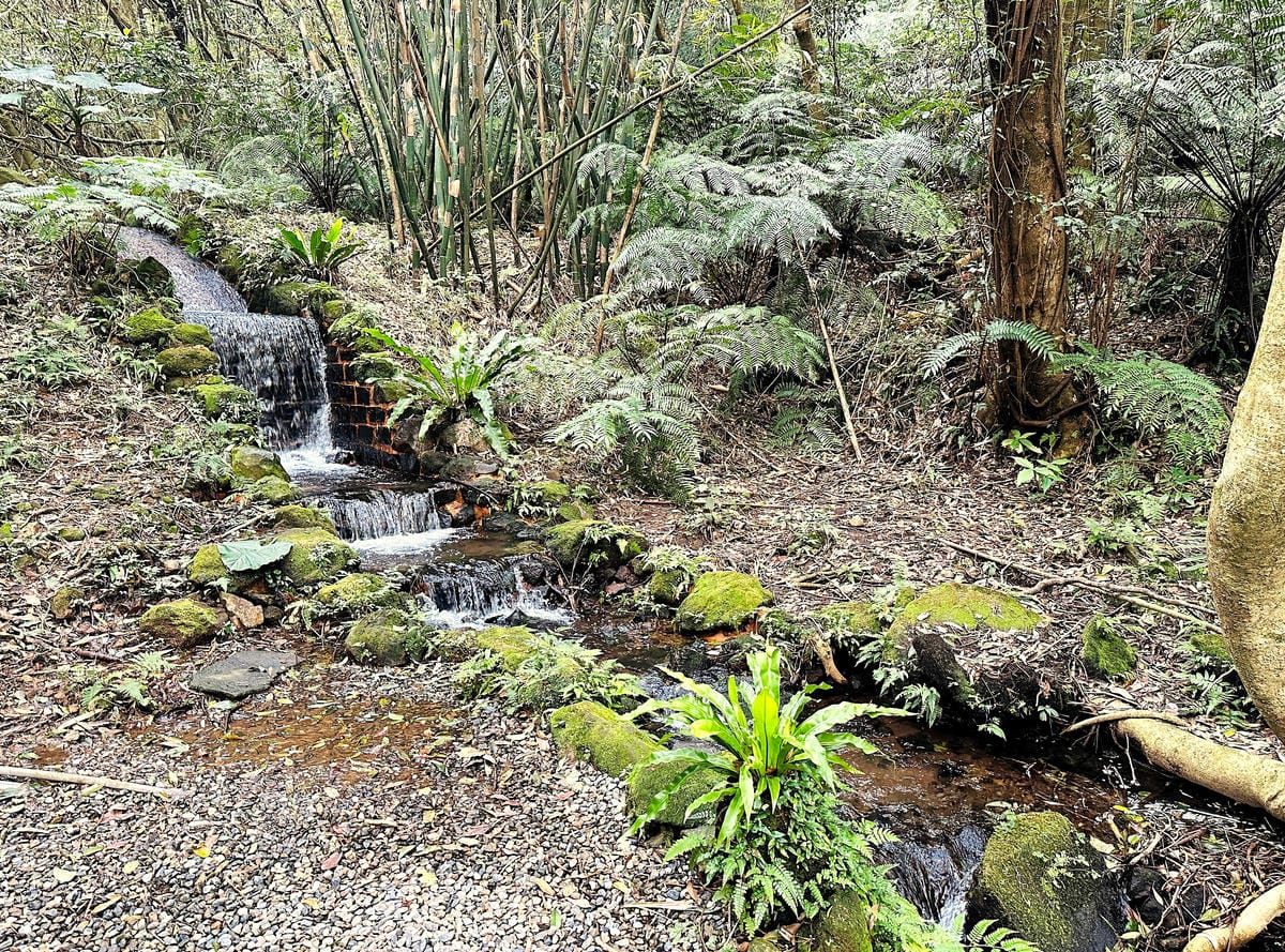 【趣兒Chill:藍鵲菲菲】台北陽明山豪華懶人露營免搭帳台北高級露營一泊三食「山林帳 森林共享衛浴」露營開箱!