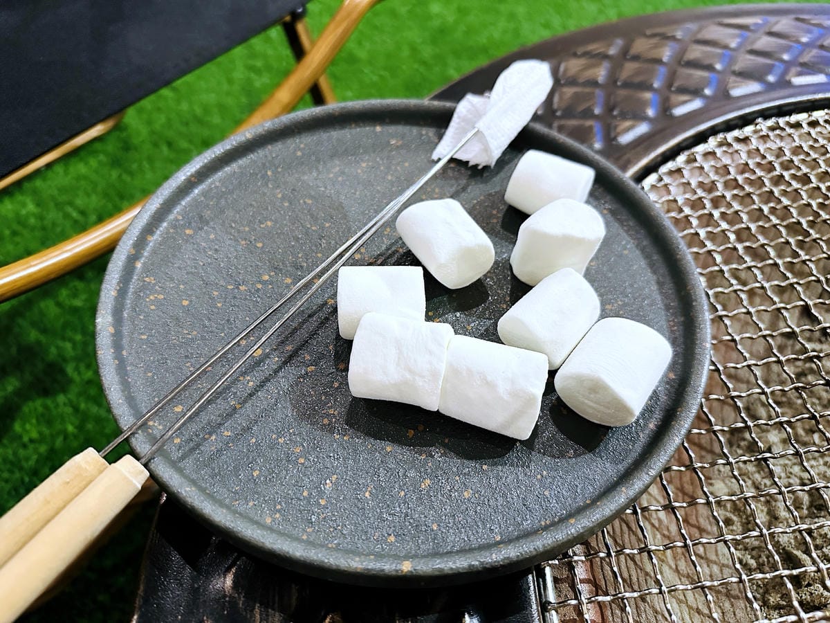 【趣兒Chill:藍鵲菲菲】台北陽明山豪華懶人露營免搭帳台北高級露營一泊三食「山林帳 森林共享衛浴」露營開箱!