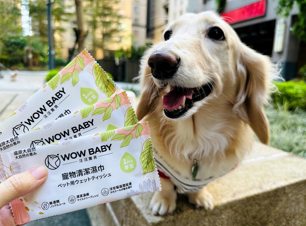 【寵物清潔用品開箱】加『厚』寵物專用濕巾推薦!「高含水量」貓狗都能用清潔濕紙巾