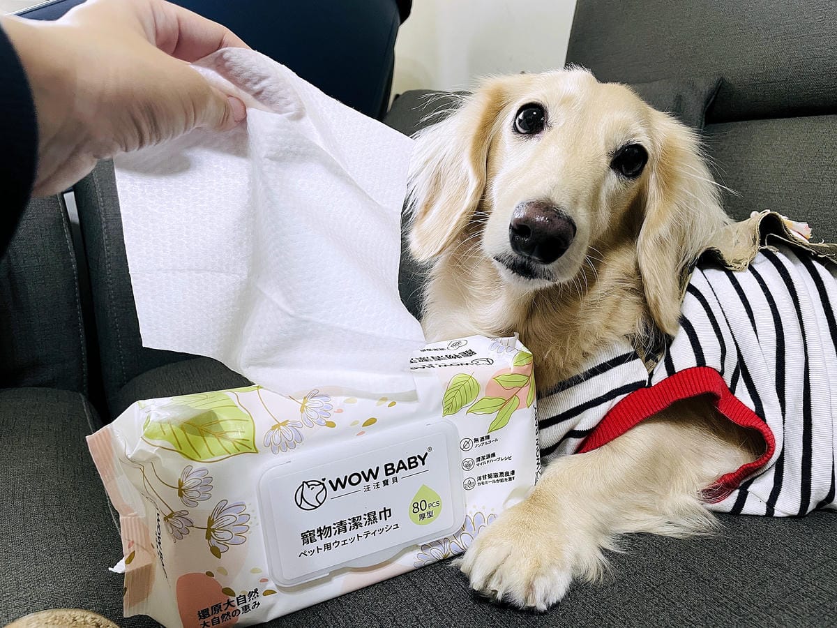 【寵物清潔用品開箱】加『厚』寵物專用濕巾推薦!「高含水量」貓狗都能用清潔濕紙巾