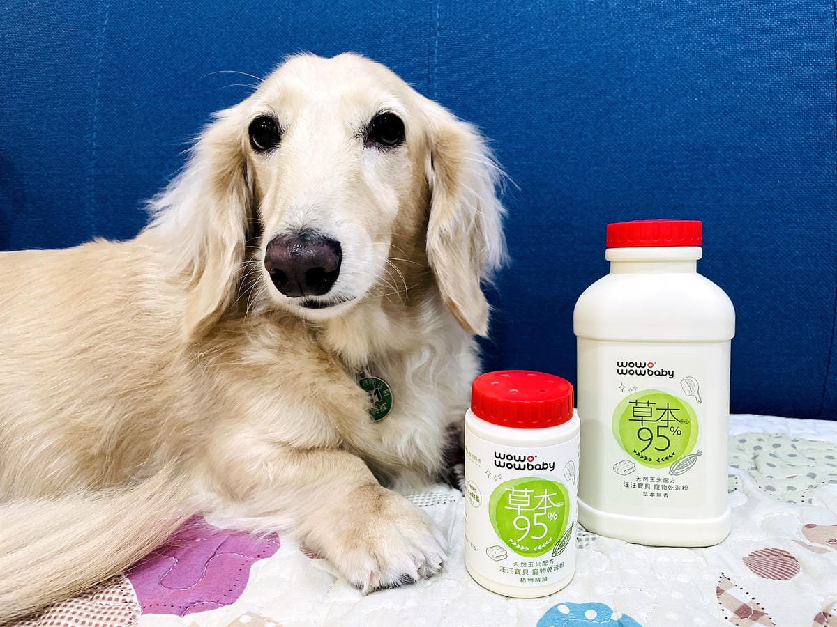 【寵物清潔用品開箱】加『厚』寵物專用濕巾推薦!「高含水量」貓狗都能用清潔濕紙巾