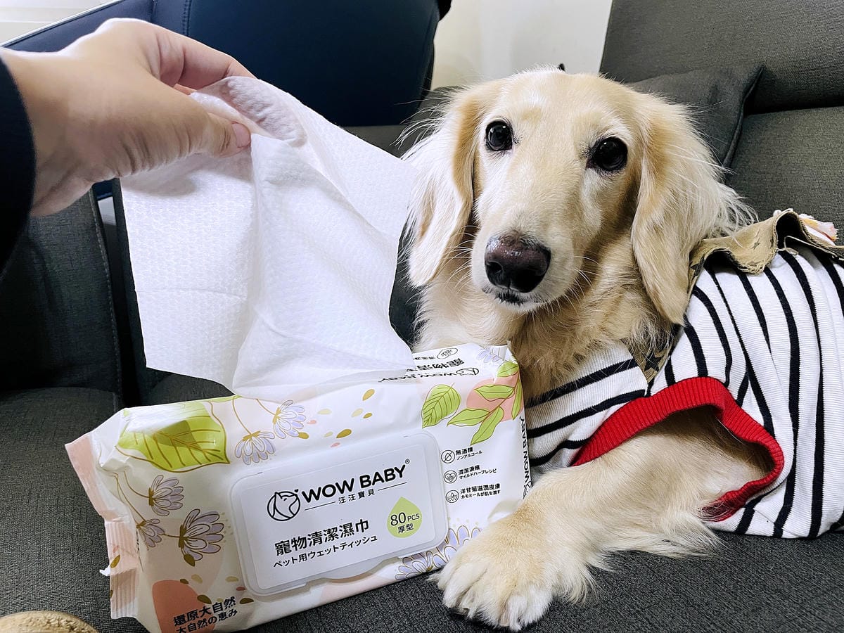 【寵物清潔用品開箱】加『厚』寵物專用濕巾推薦!「高含水量」貓狗都能用清潔濕紙巾