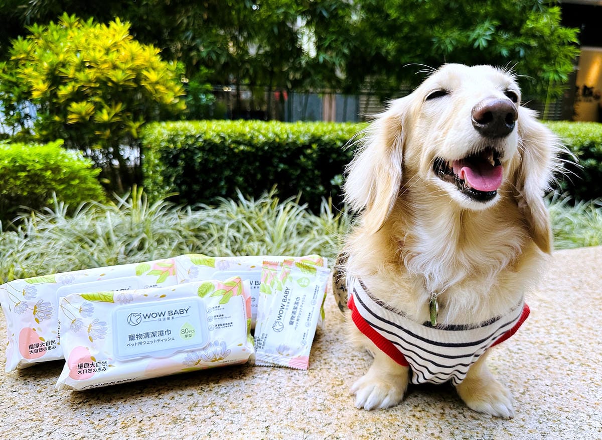 【寵物清潔用品開箱】加『厚』寵物專用濕巾推薦!「高含水量」貓狗都能用清潔濕紙巾