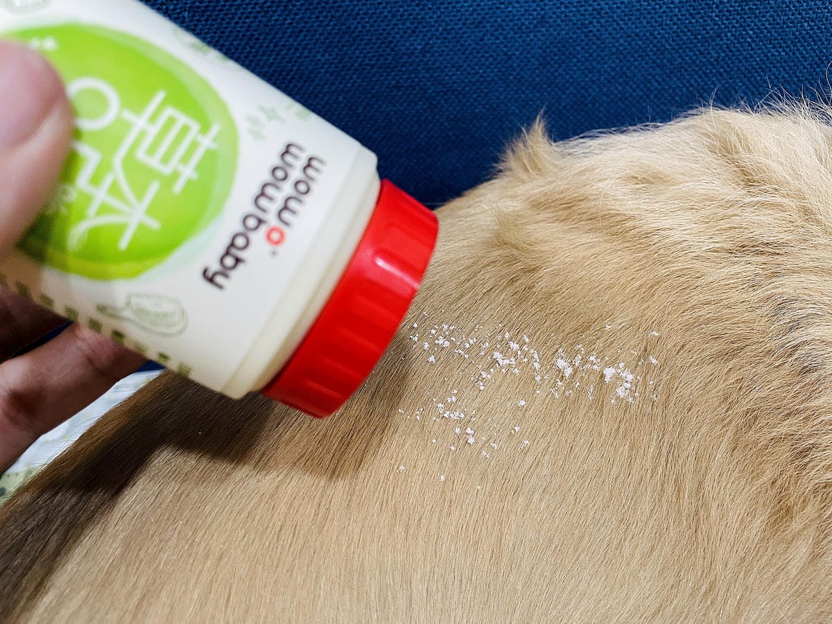 【寵物清潔用品開箱】加『厚』寵物專用濕巾推薦!「高含水量」貓狗都能用清潔濕紙巾