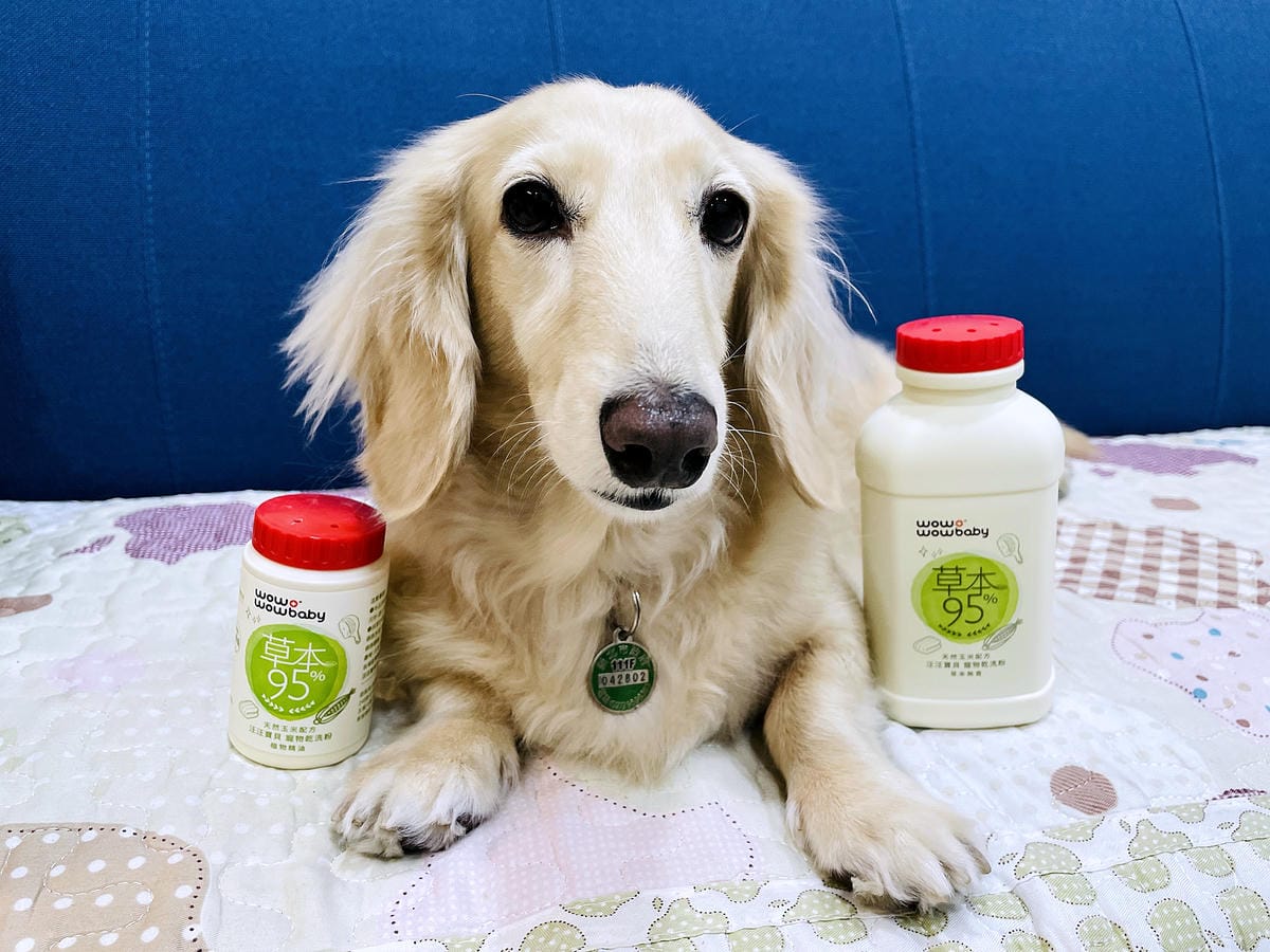 【寵物清潔用品開箱】加『厚』寵物專用濕巾推薦!「高含水量」貓狗都能用清潔濕紙巾