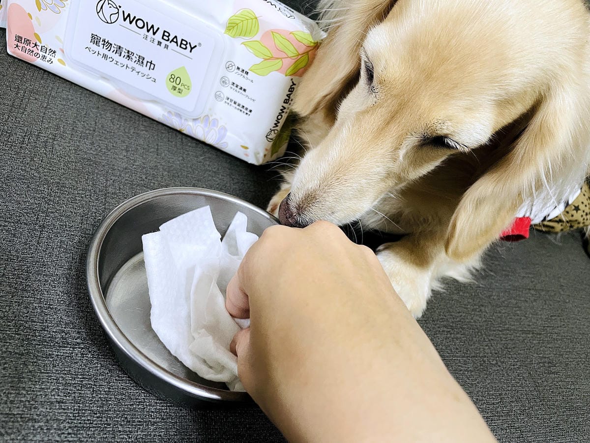 【寵物清潔用品開箱】加『厚』寵物專用濕巾推薦!「高含水量」貓狗都能用清潔濕紙巾