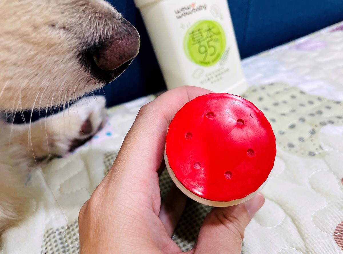 【寵物清潔用品開箱】加『厚』寵物專用濕巾推薦!「高含水量」貓狗都能用清潔濕紙巾