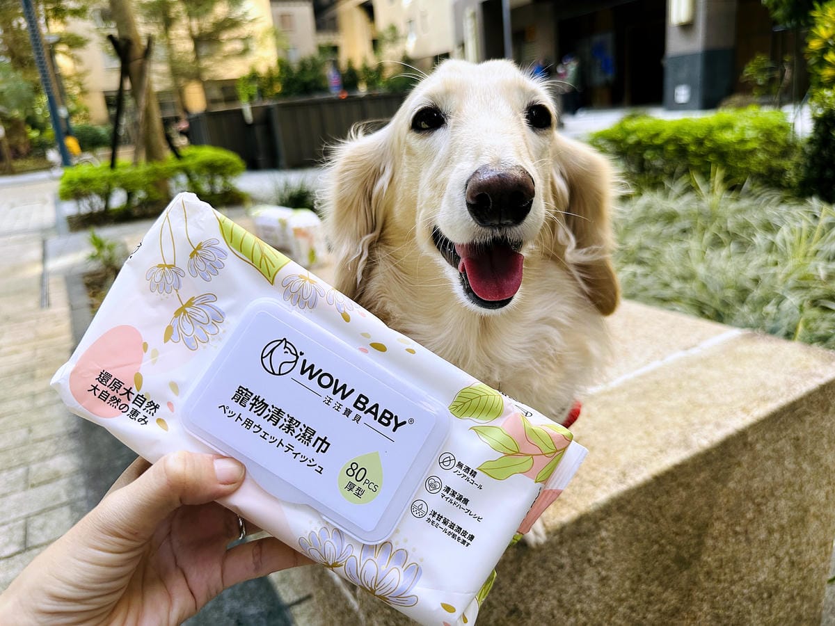 【寵物清潔用品開箱】加『厚』寵物專用濕巾推薦!「高含水量」貓狗都能用清潔濕紙巾