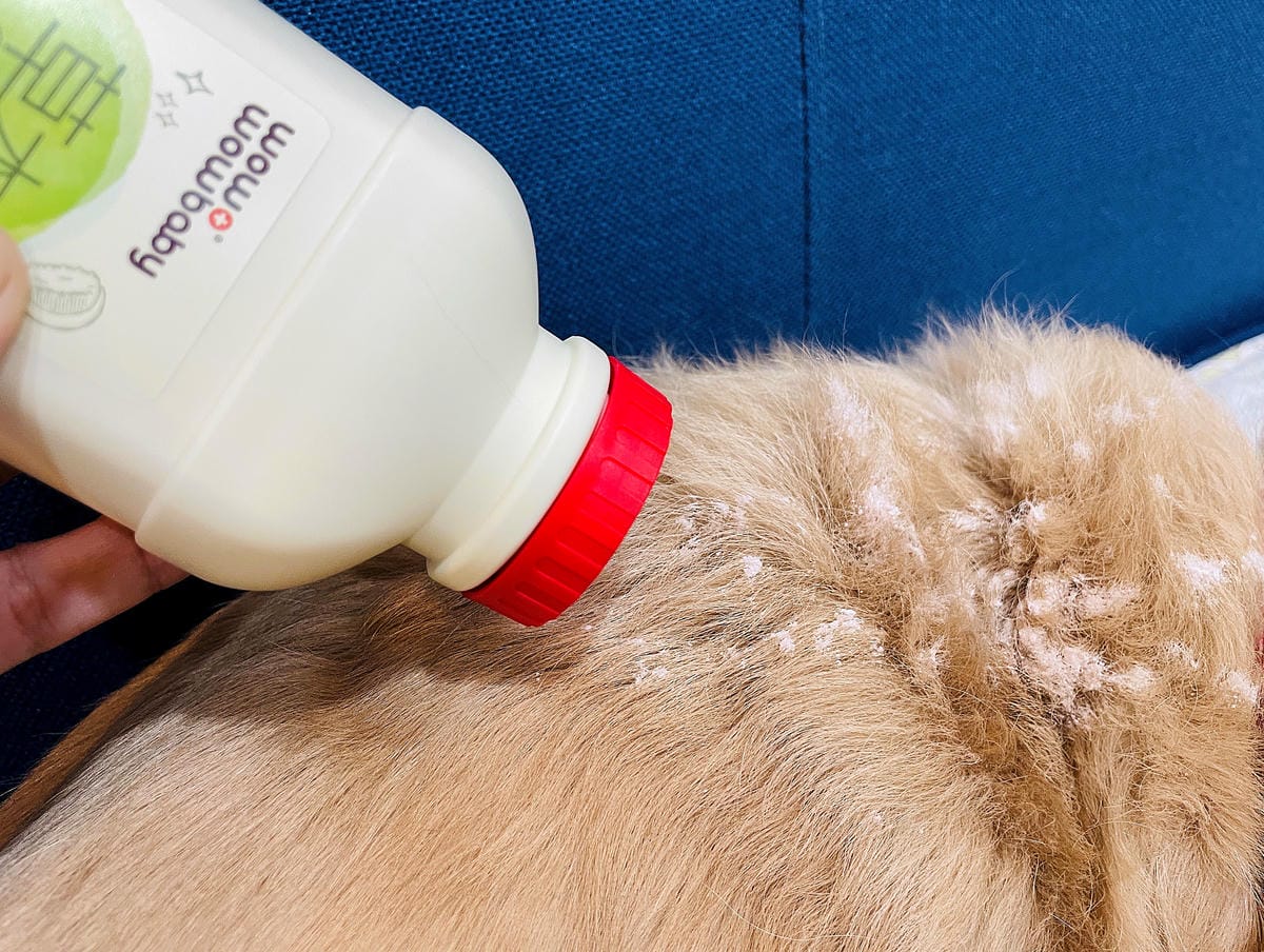 【寵物清潔用品開箱】加『厚』寵物專用濕巾推薦!「高含水量」貓狗都能用清潔濕紙巾