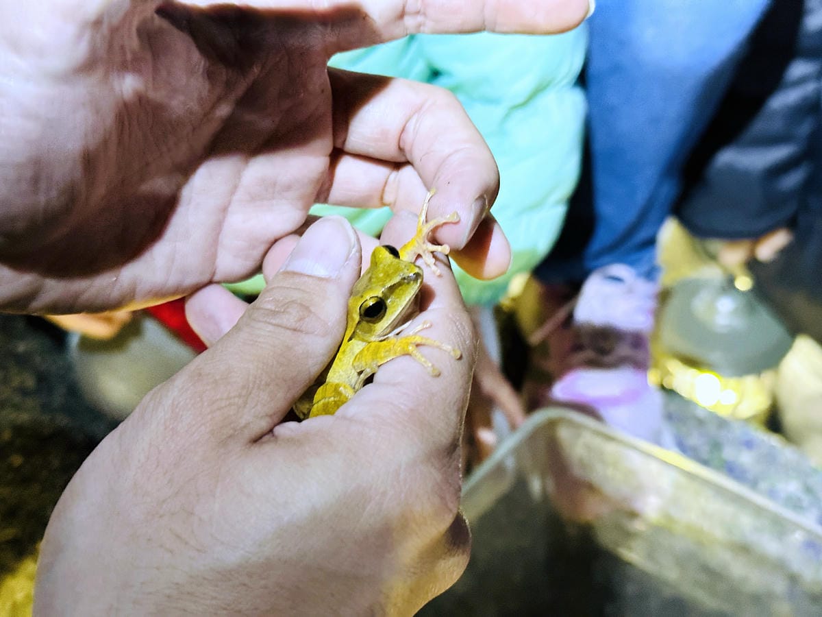 【蟬說:夕陽漫漫】台中清水高美濕地豪華露營!一泊二食免搭帳懶