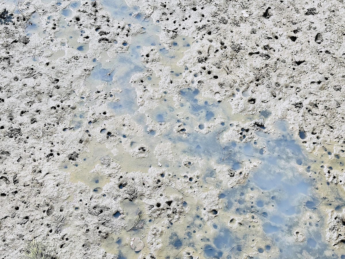 【蟬說:夕陽漫漫】台中清水高美濕地豪華露營!一泊二食免搭帳懶