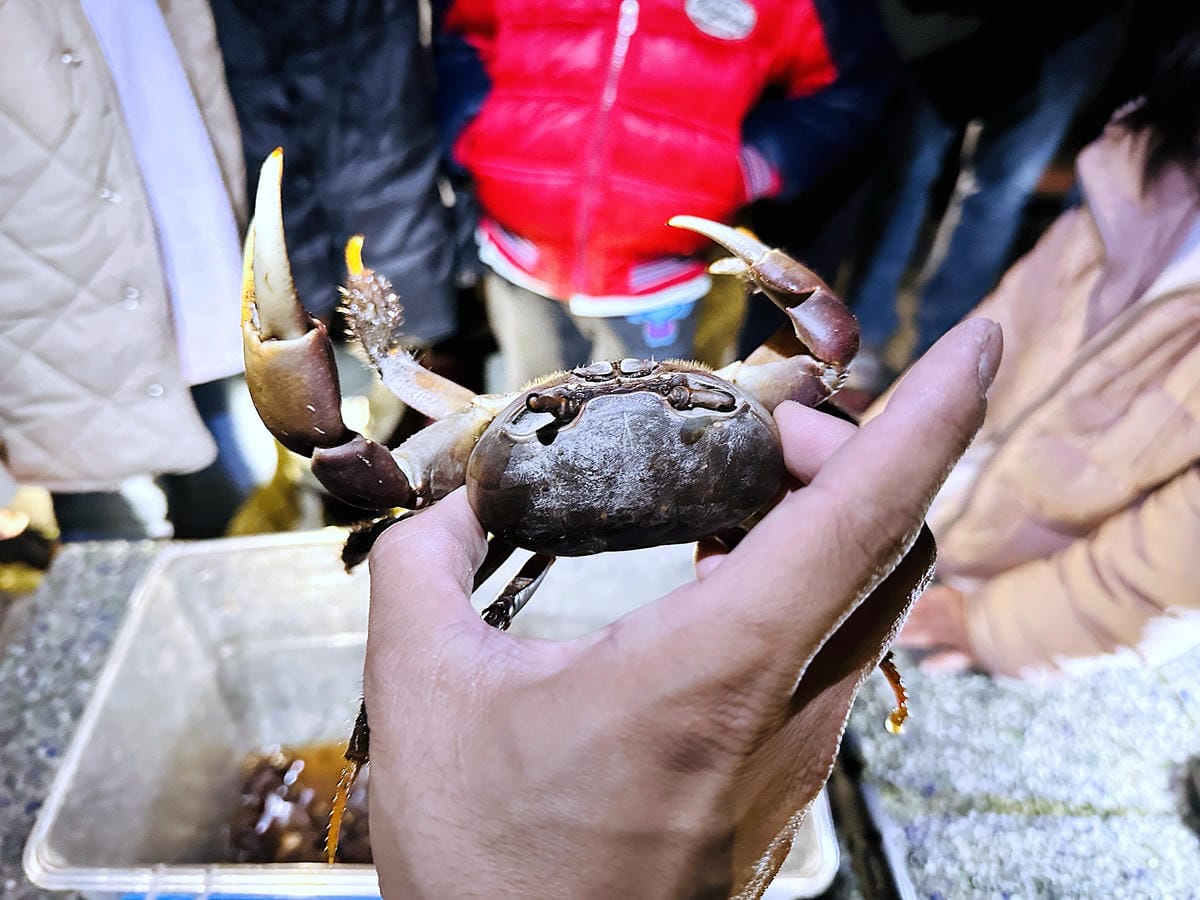 【蟬說:夕陽漫漫】台中清水高美濕地豪華露營!一泊二食免搭帳懶