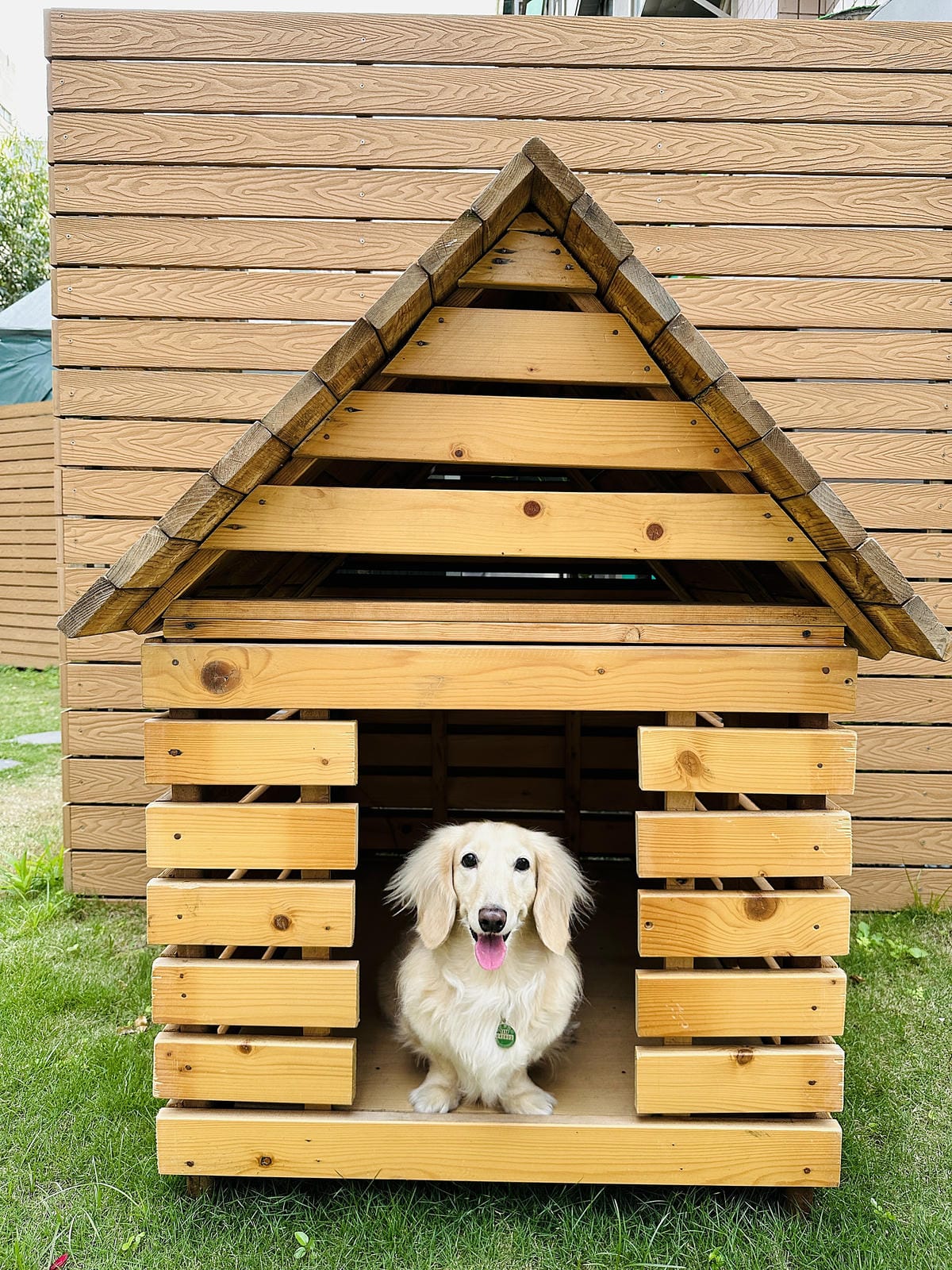 【La Moon玉膳坊朗月庭園餐廳】內湖美食餐廳包場派對都適合!內湖下午茶招牌麻糬鬆餅必吃!寵物友善餐廳與毛孩戶外草坪偽野餐