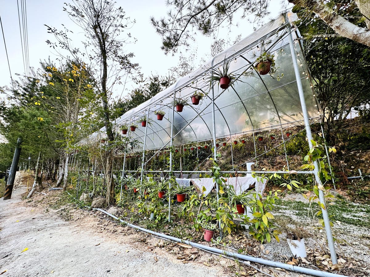 【葉子祕境】南投埔里絕美森林系住宿!超奢華星空villa房型開箱,一泊三食浪漫豪華偽露營!走進大自然裡「森呼吸」