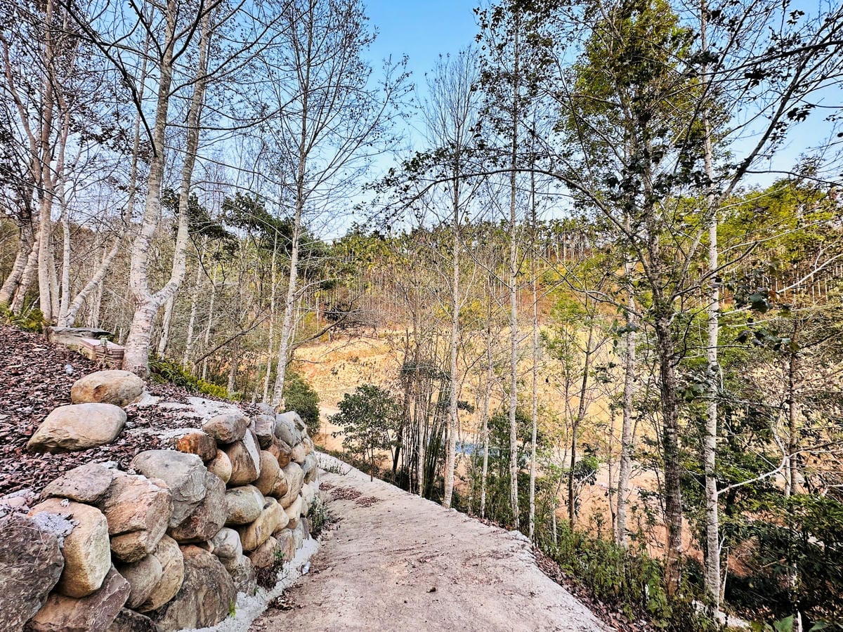 【葉子祕境】南投埔里絕美森林系住宿!超奢華星空villa房型開箱,一泊三食浪漫豪華偽露營!走進大自然裡「森呼吸」