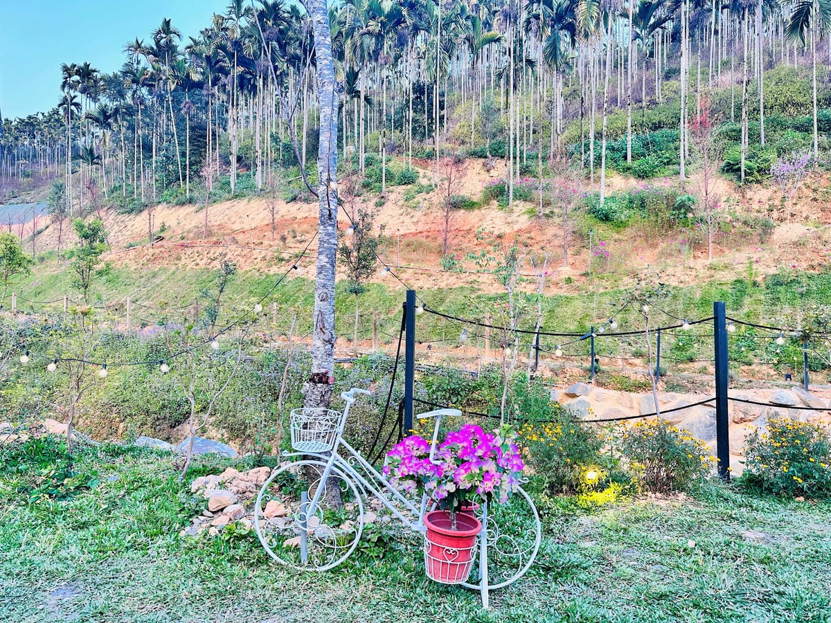 【葉子祕境】南投埔里絕美森林系住宿!超奢華星空villa房型開箱,一泊三食浪漫豪華偽露營!走進大自然裡「森呼吸」