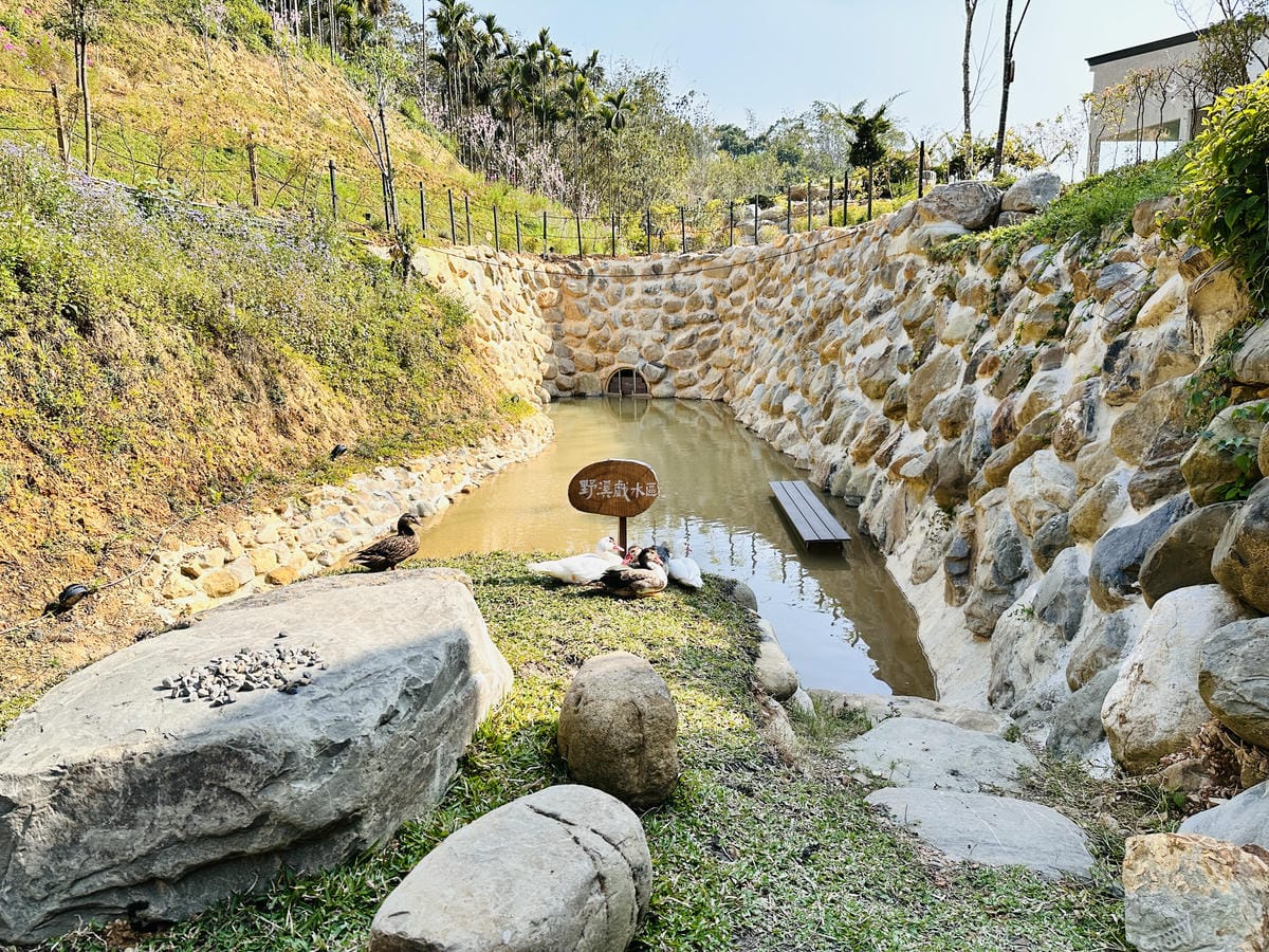 【葉子祕境】南投埔里絕美森林系住宿!超奢華星空villa房型開箱,一泊三食浪漫豪華偽露營!走進大自然裡「森呼吸」