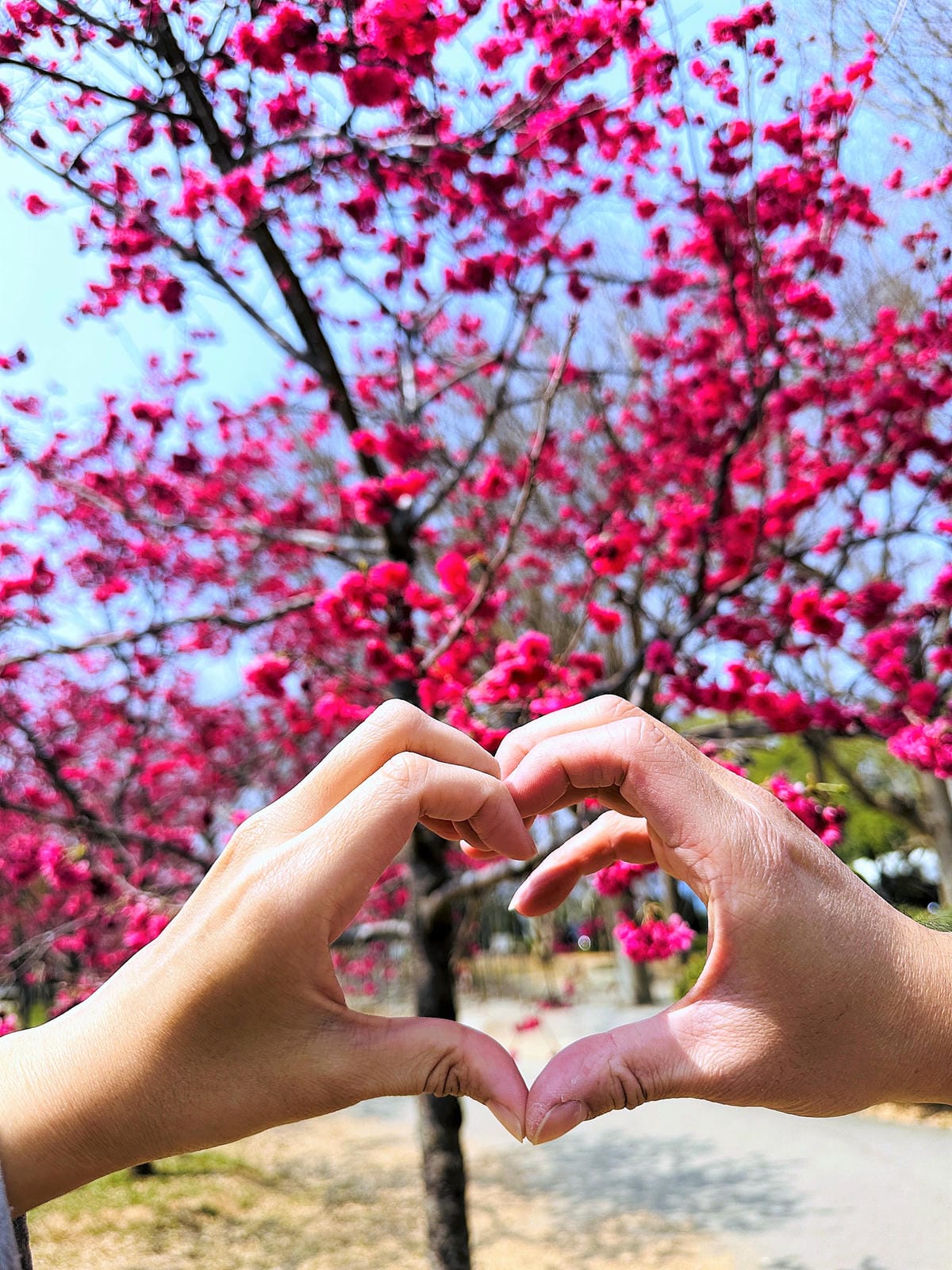 【后麗安心親子時尚旅宿(風自然2館)】台中后里親子民宿推薦!巨型溜滑梯搬進房間裡,超大湯屋泡浪漫玫瑰花瓣浴!