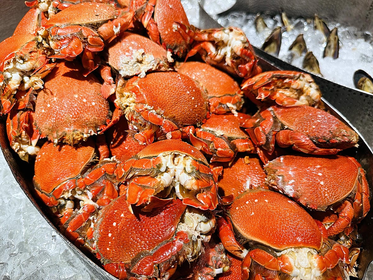 【豐FOOD百匯】台北大直典華《龍蝦之夜》龍蝦&海陸美食吃到飽!超人氣多國料理自助餐buffet任你吃!台北劍南路高CP值美食推薦!