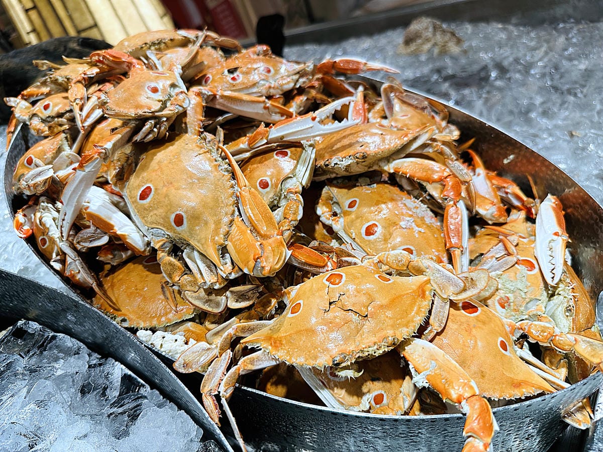 【豐FOOD百匯】台北大直典華《龍蝦之夜》龍蝦&海陸美食吃到飽!超人氣多國料理自助餐buffet任你吃!台北劍南路高CP值美食推薦!