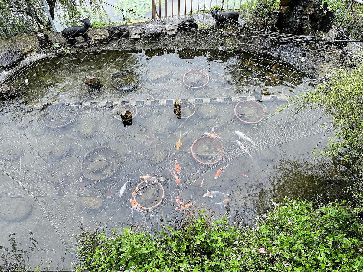 【天梯露營區】宜蘭露營車推薦!最夯最新『諾美締露營車』開箱!宜蘭大同百萬夜景盡收眼底!晚餐BBQ烤肉好歡樂!宜蘭免搭帳免裝備露營!