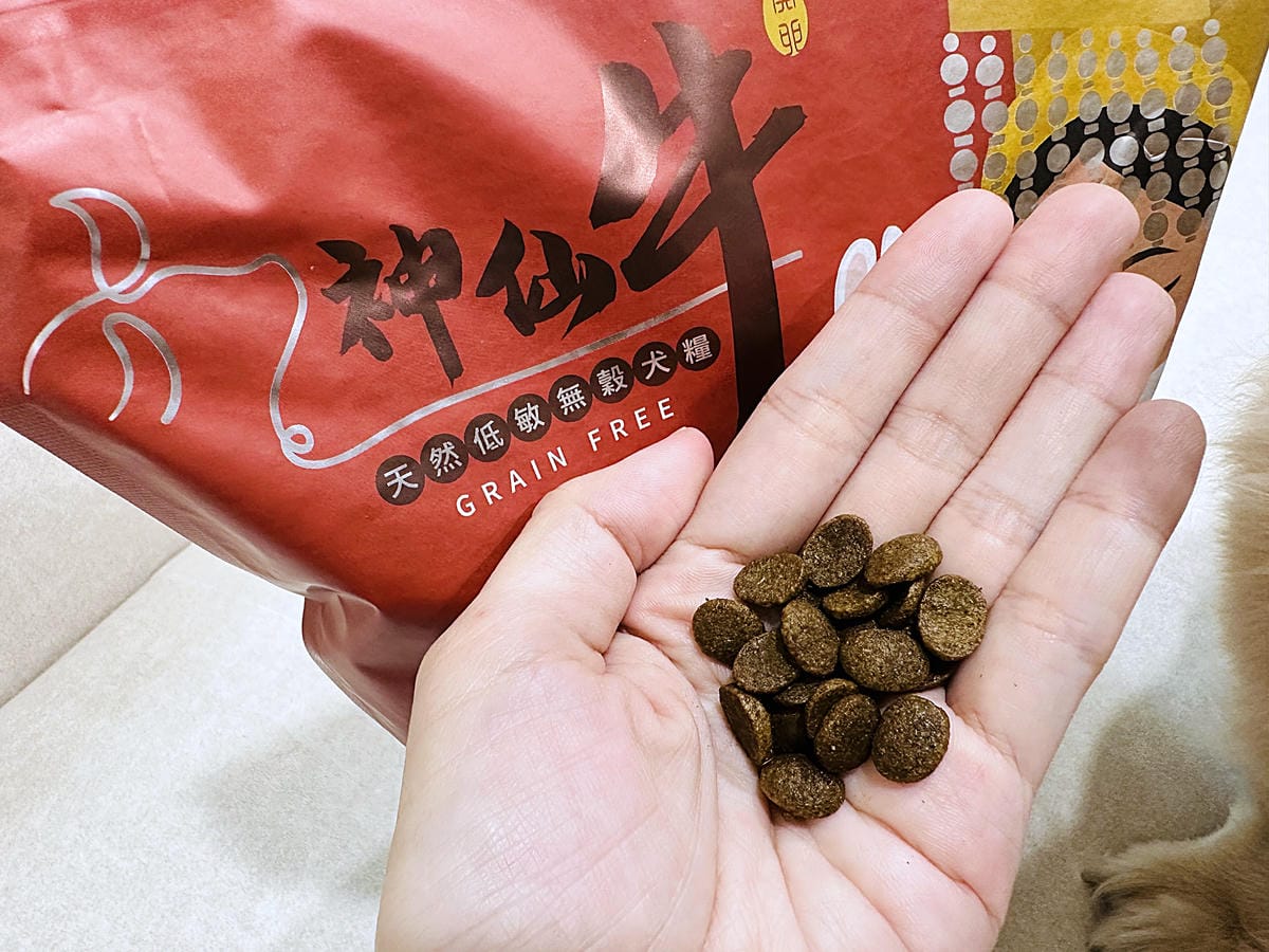 【Abao阿寶】狗狗飼料推薦!大甲鎮瀾宮聯名款「神仙牛天然低敏無穀犬糧」 延續大甲媽祖娘娘的愛與守護『小臘腸咪咪』有呷有保庇啦!
