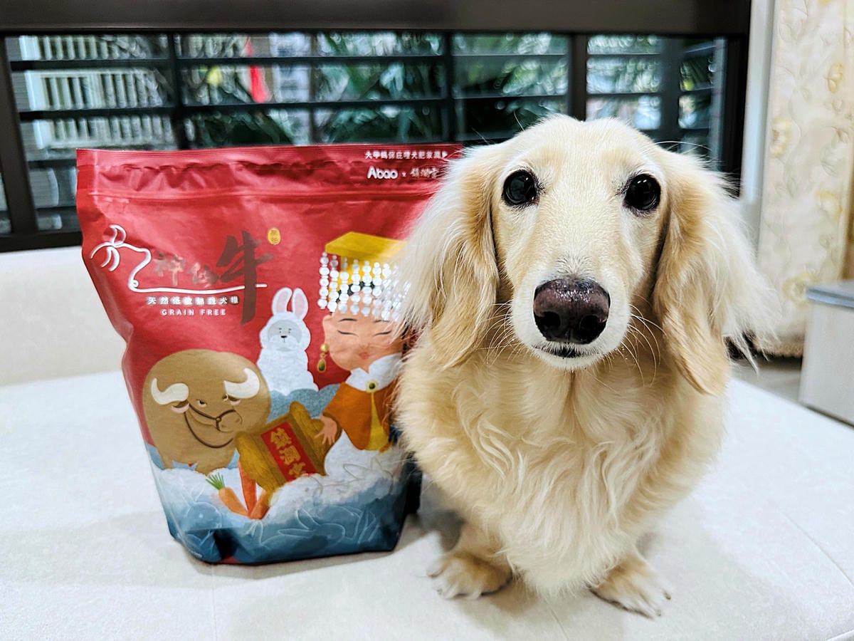 【Abao阿寶】狗狗飼料推薦!大甲鎮瀾宮聯名款「神仙牛天然低敏無穀犬糧」 延續大甲媽祖娘娘的愛與守護『小臘腸咪咪』有呷有保庇啦!