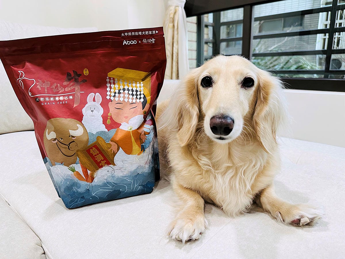 【Abao阿寶】狗狗飼料推薦!大甲鎮瀾宮聯名款「神仙牛天然低敏無穀犬糧」 延續大甲媽祖娘娘的愛與守護『小臘腸咪咪』有呷有保庇啦!