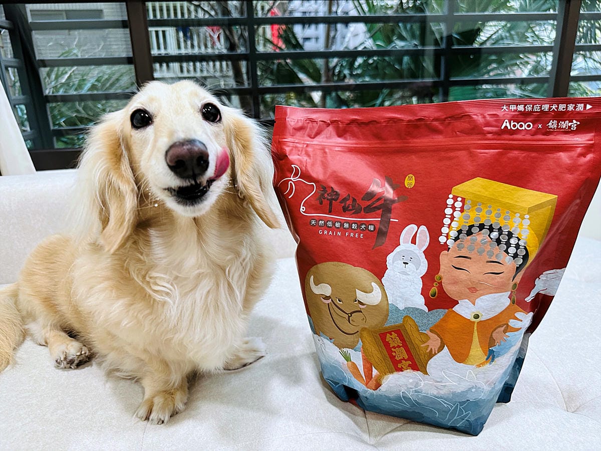 【Abao阿寶】狗狗飼料推薦!大甲鎮瀾宮聯名款「神仙牛天然低敏無穀犬糧」 延續大甲媽祖娘娘的愛與守護『小臘腸咪咪』有呷有保庇啦!