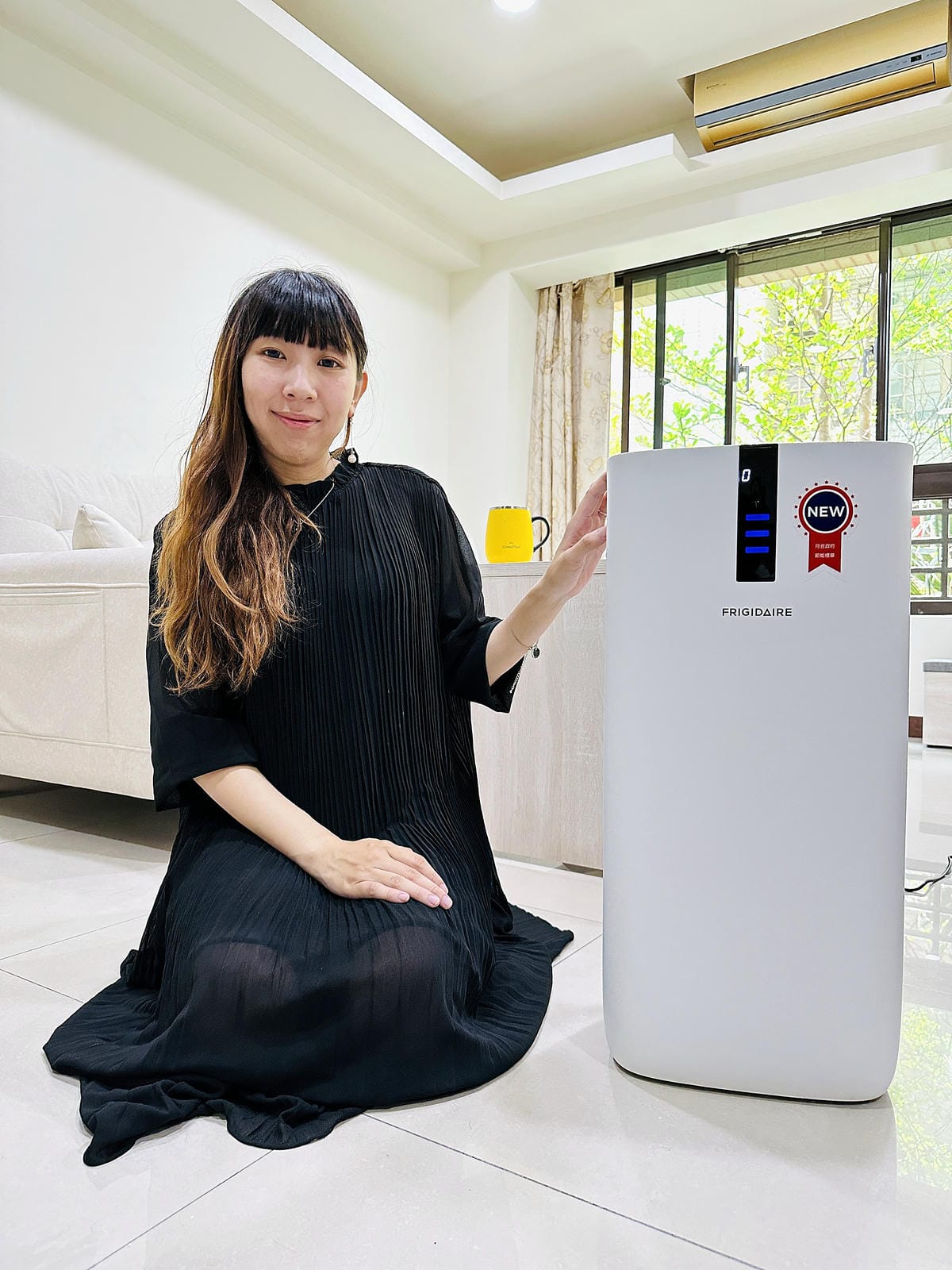 【FRIGIDAIRE富及第】CASR 4.4節能升級款智慧型空氣清淨機FAP-0441HP,負離子雙重過濾,DC直流風扇31段式風速調整,過敏兒救星!隨時把控空氣品質,髒空氣通通一網打盡!