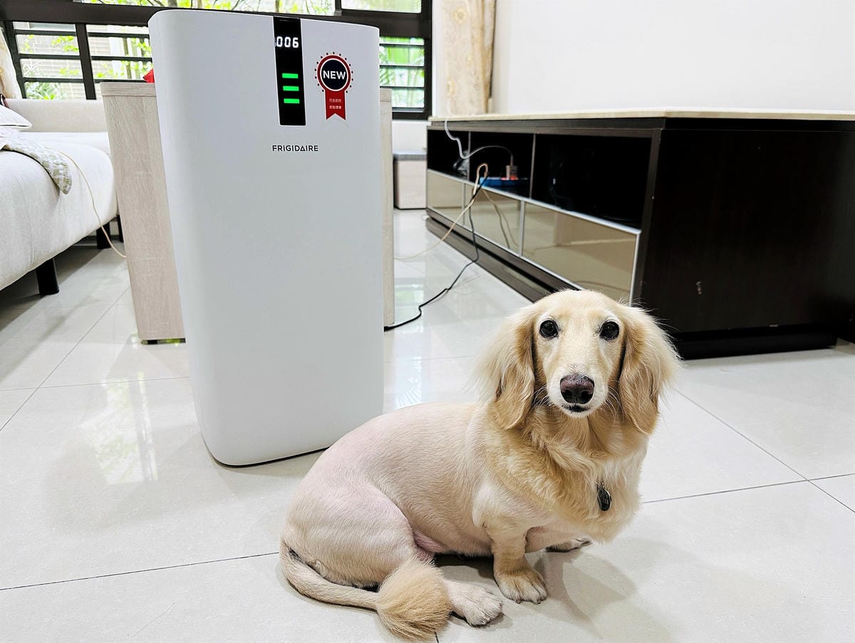 【FRIGIDAIRE富及第】CASR 4.4節能升級款智慧型空氣清淨機FAP-0441HP,負離子雙重過濾,DC直流風扇31段式風速調整,過敏兒救星!隨時把控空氣品質,髒空氣通通一網打盡!