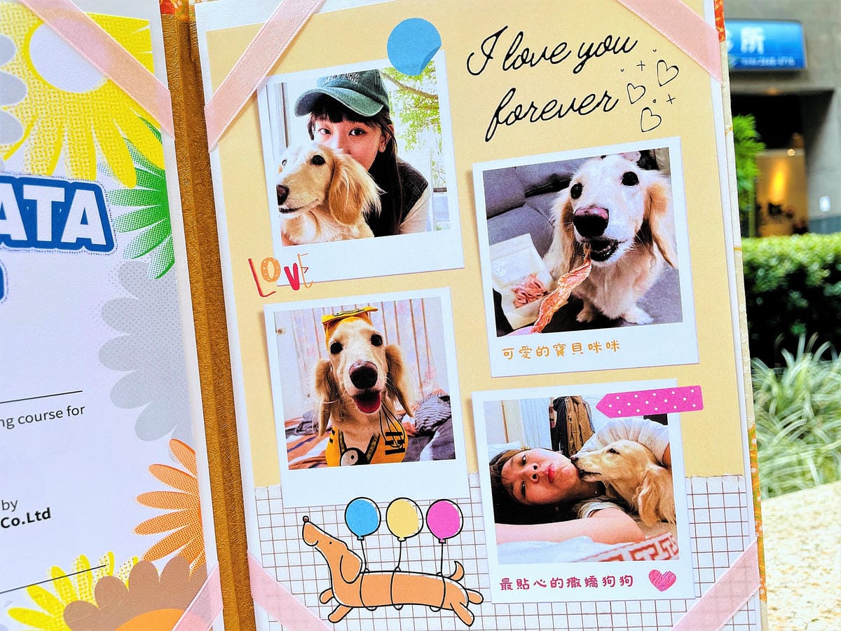 【汪心球SinStar】專屬毛孩精裝獎狀給毛孩最好的愛與鼓勵小臘腸咪咪獲頒『甜美可愛獎』!