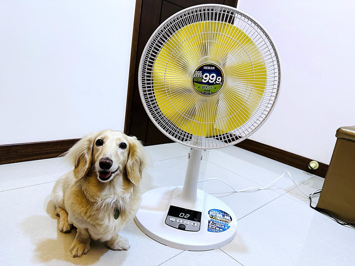 【禾聯家電HERAN】智能變頻禾聯抑菌風扇,奈米銀粒子抑菌扇葉,可遠端遙控超方便! 能夠打擊病菌的電風扇!居家生活實用熱銷家電開箱!