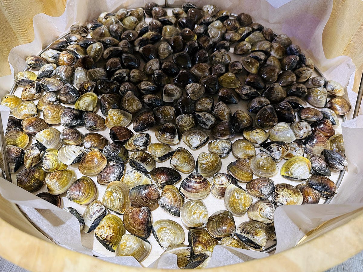 【朋月栻 宗음식含吃一隻雞 土城店】『招牌一隻雞湯』不用遠赴韓國美味經典呈現!超浮誇霸氣海鮮盆挑戰痛風極限!