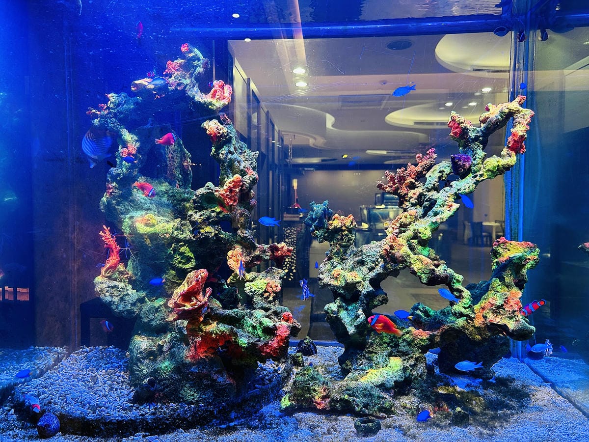 【永豐棧酒店】台中西屯區住宿推薦!超優惠一泊二食方案,入住「