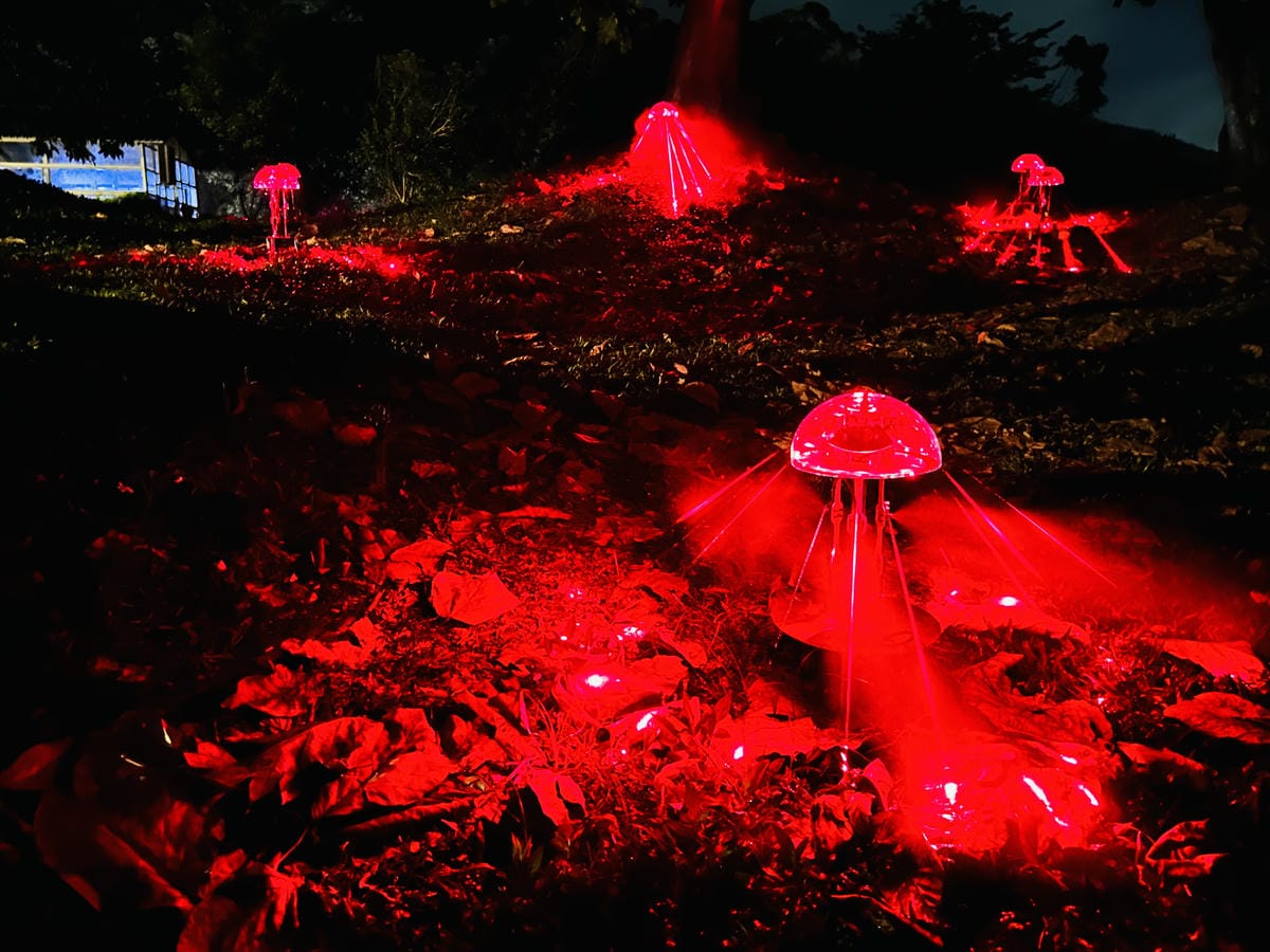 【台東縱谷三天兩夜】跟著導遊吃美食、泡溫泉、部落探索202