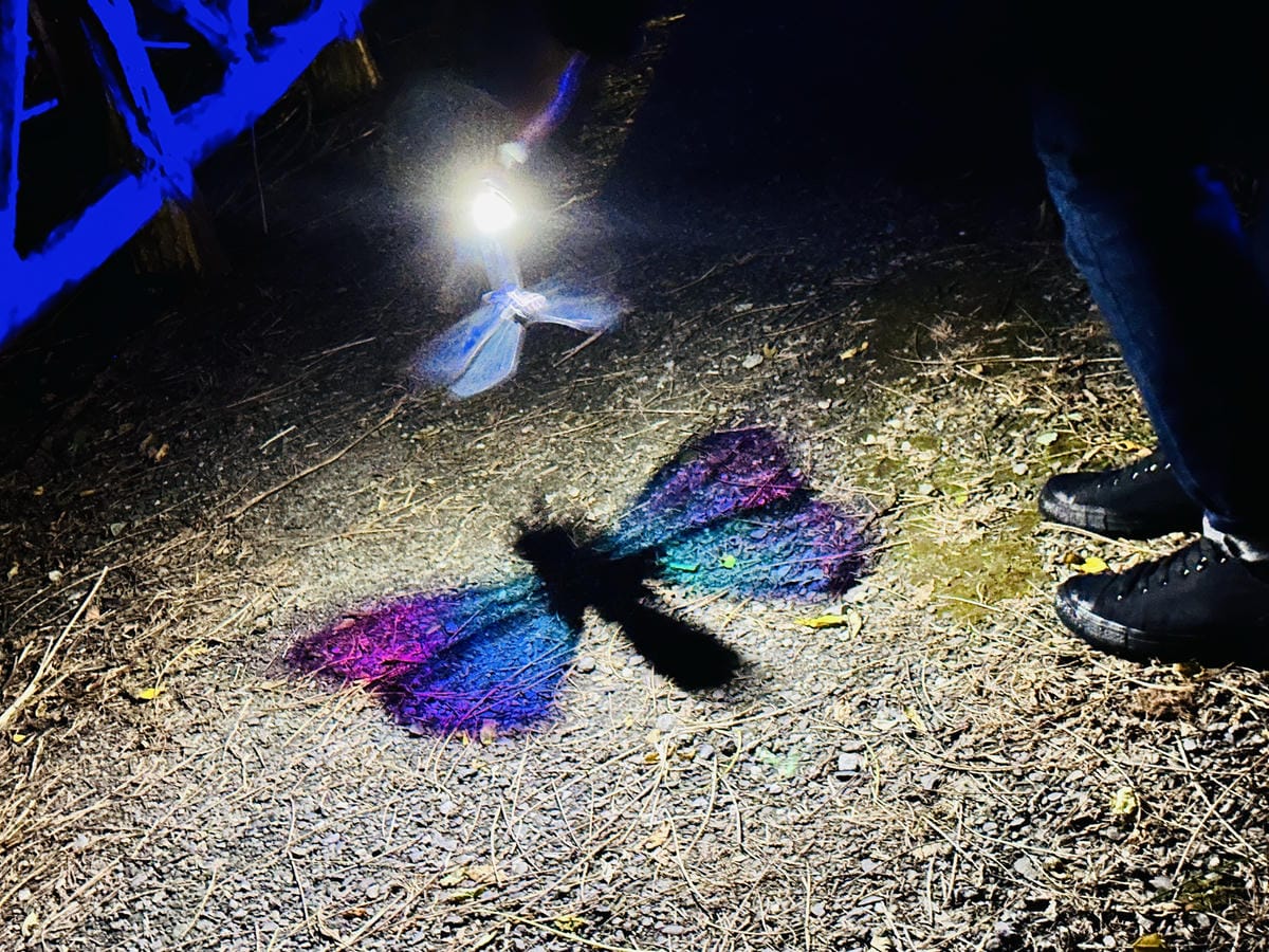 【台東縱谷三天兩夜】跟著導遊吃美食、泡溫泉、部落探索202