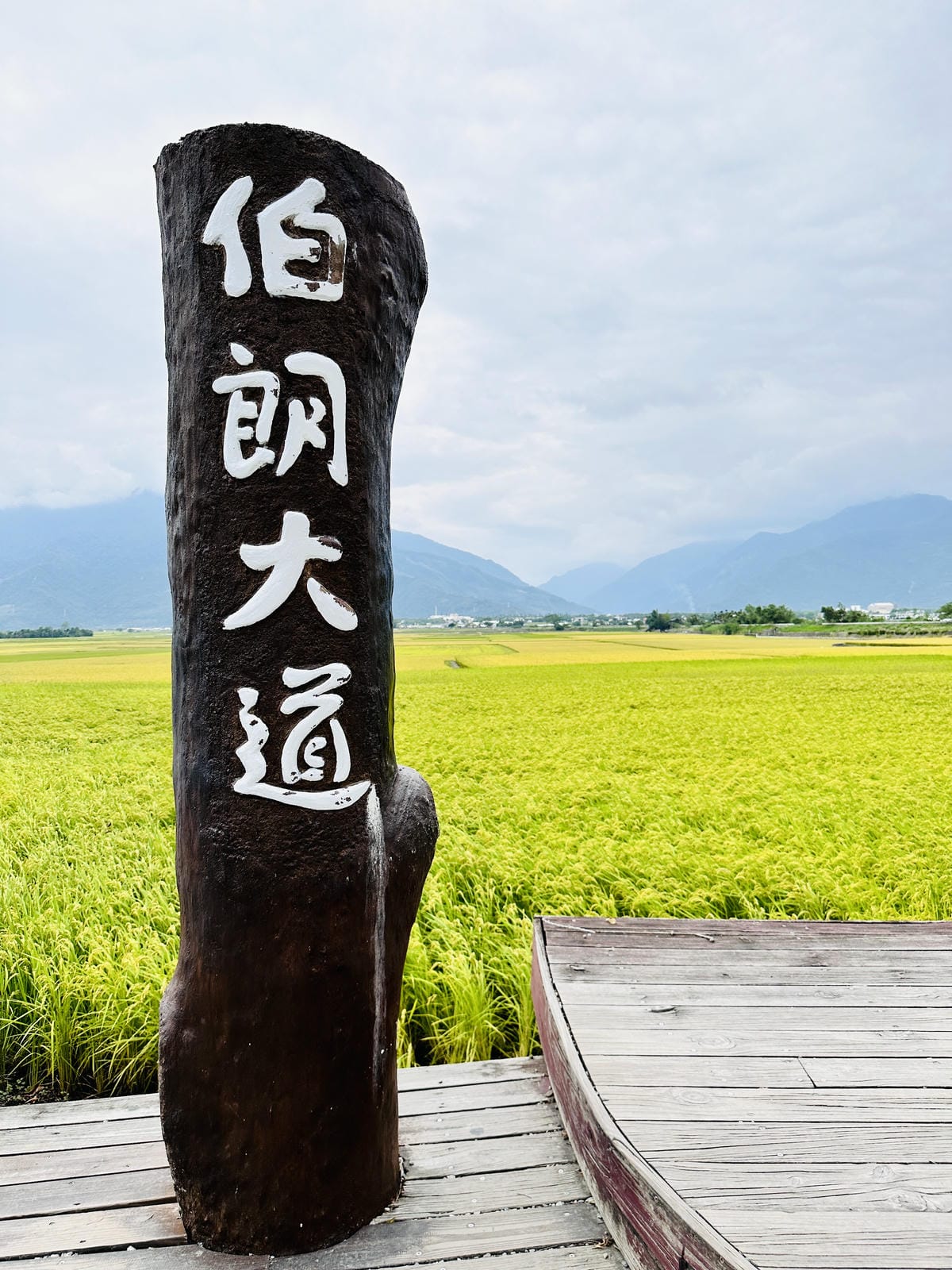 【台東縱谷三天兩夜】跟著導遊吃美食、泡溫泉、部落探索202