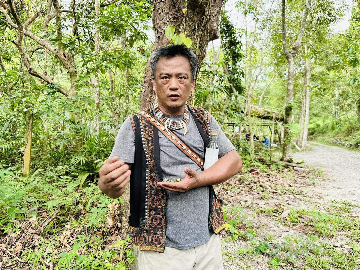 【台東縱谷三天兩夜】跟著導遊吃美食、泡溫泉、部落探索202