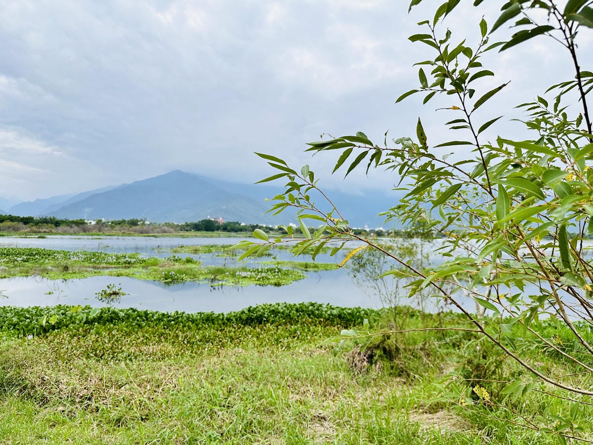 【台東縱谷三天兩夜】跟著導遊吃美食、泡溫泉、部落探索202