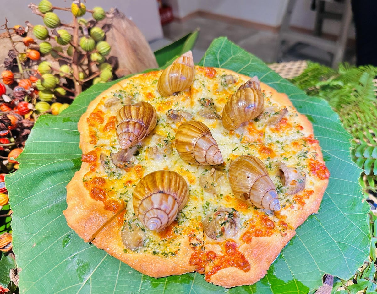 【台東縱谷三天兩夜】跟著導遊吃美食、泡溫泉、部落探索202