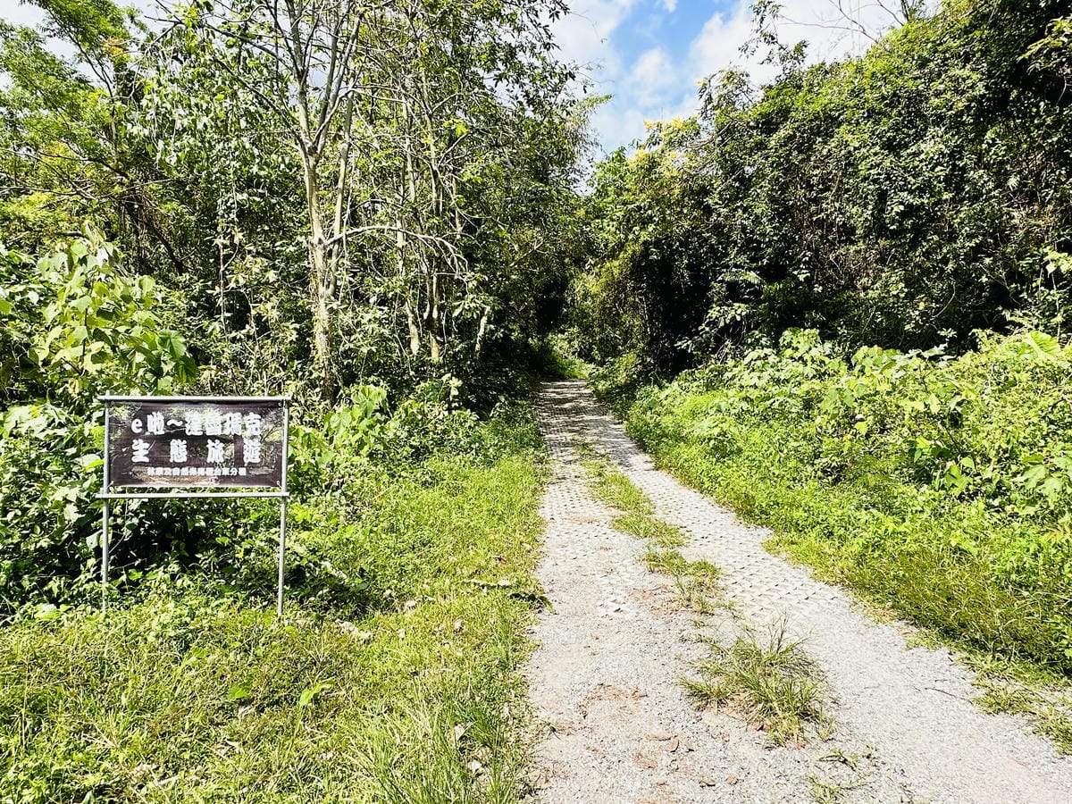 【台東縱谷三天兩夜】跟著導遊吃美食、泡溫泉、部落探索202