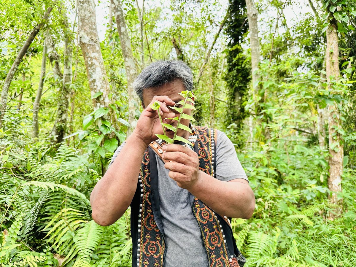 【台東縱谷三天兩夜】跟著導遊吃美食、泡溫泉、部落探索202