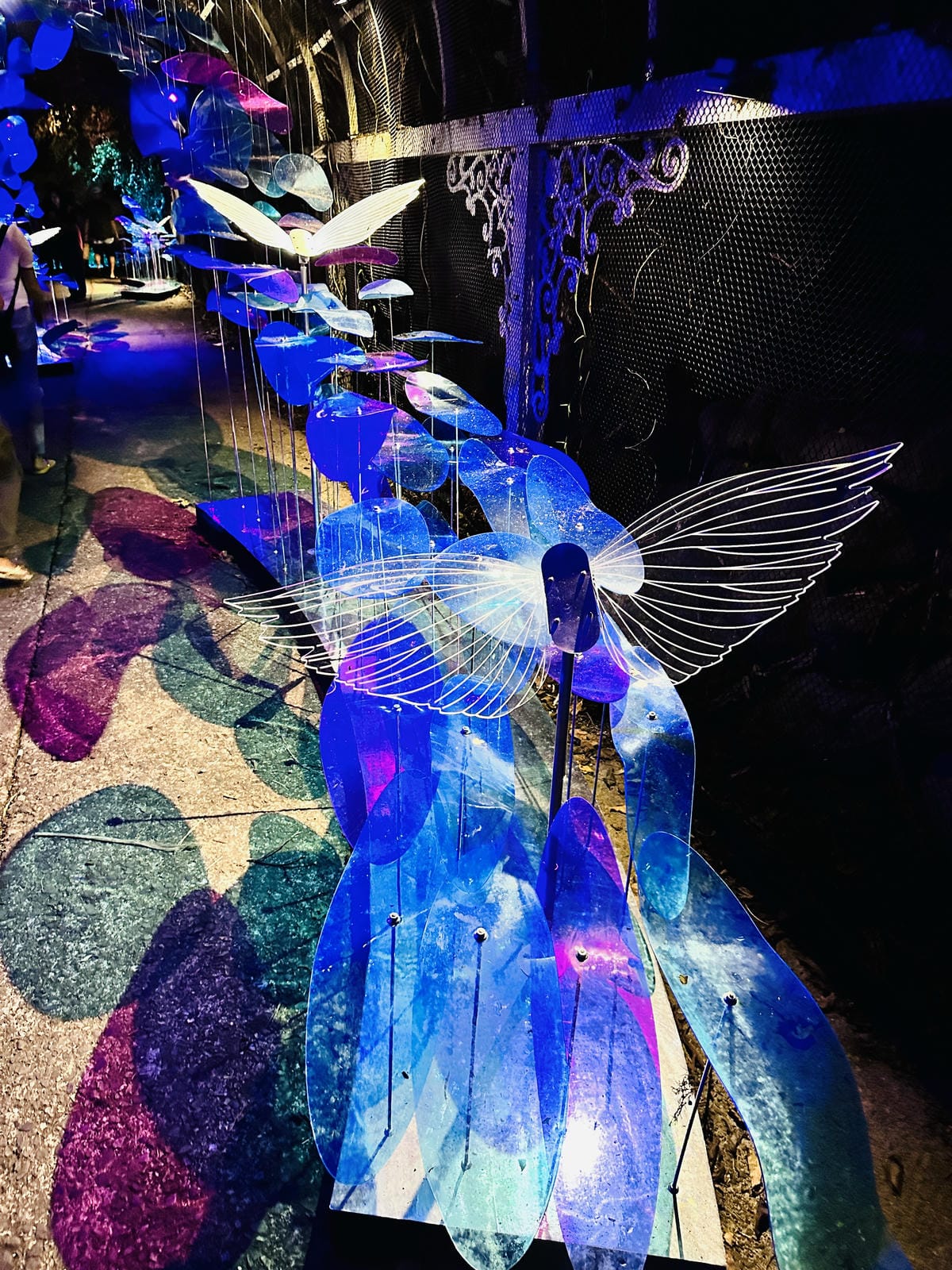 【台東縱谷三天兩夜】跟著導遊吃美食、泡溫泉、部落探索202