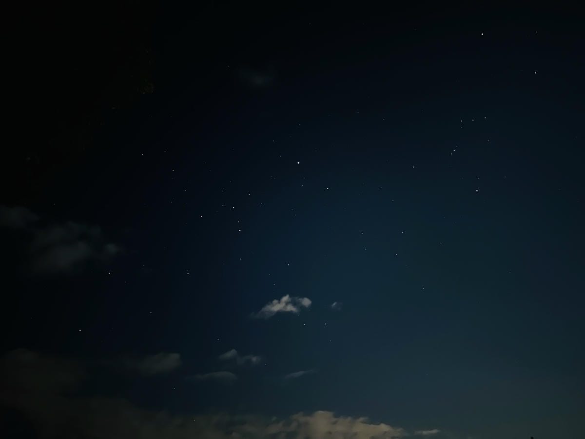 【蟬說:山中靜靜】台中酒桶山豪華秋冬露營,桂花弄帳篷區絕美景