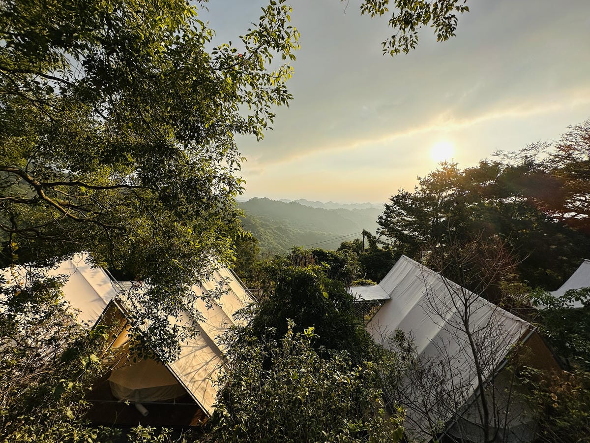 【蟬說:山中靜靜】台中酒桶山豪華秋冬露營,桂花弄帳篷區絕美景